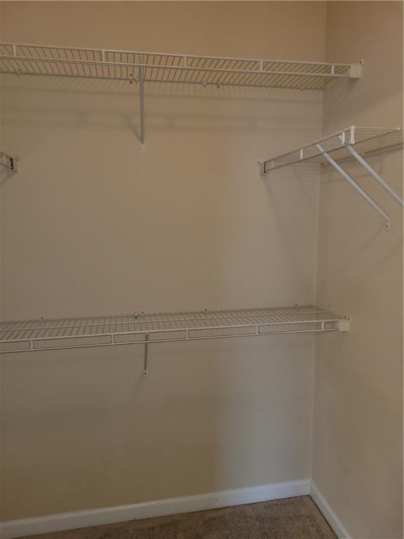 Building Photo - 1850 Cotillion Dr