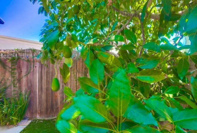 Building Photo - Single Story Duplex with Two Private Residences