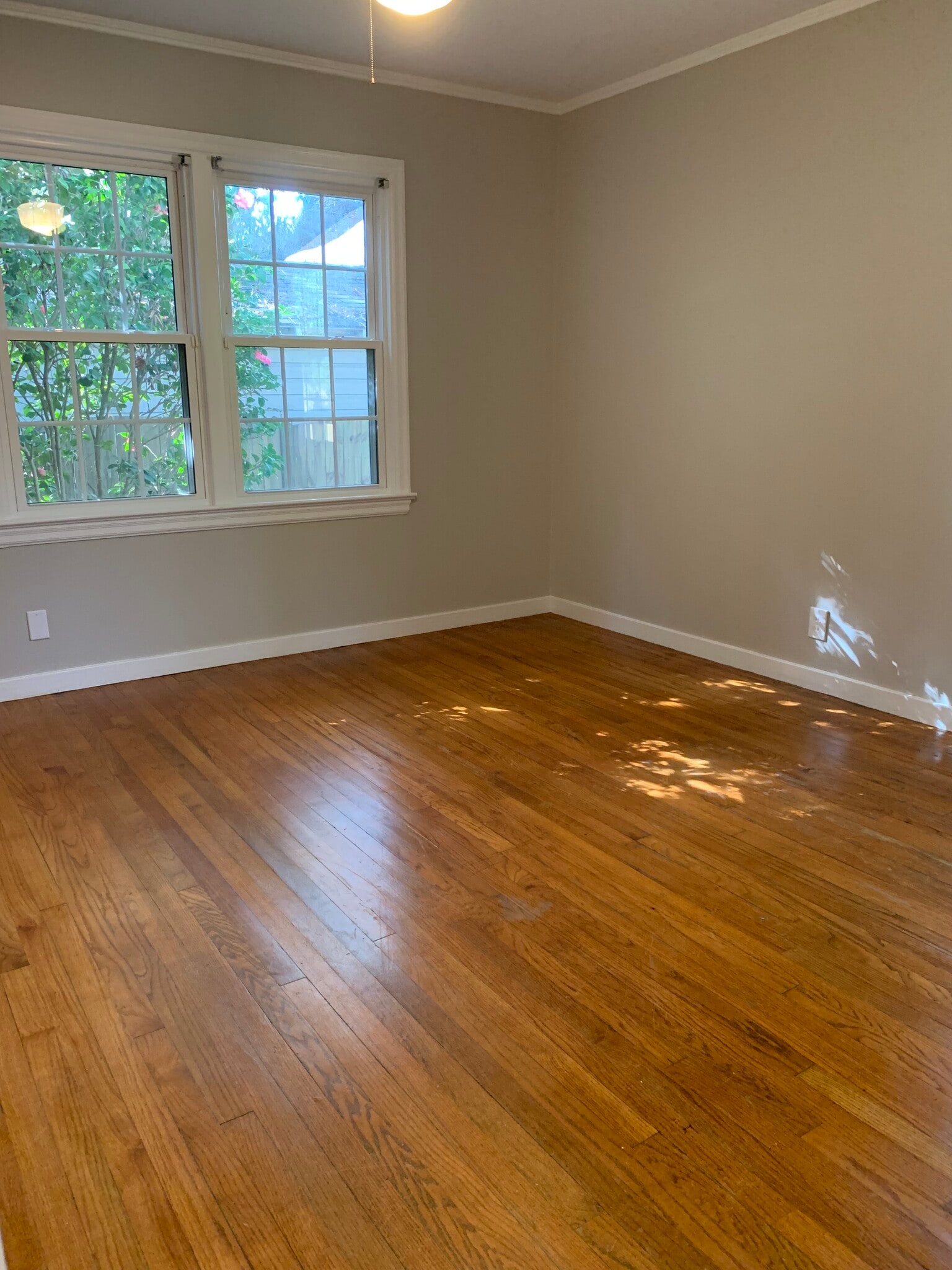 Building Photo - 114 Ellinor St