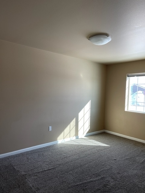 Building Photo - 1972 Sunlit Fields Ct