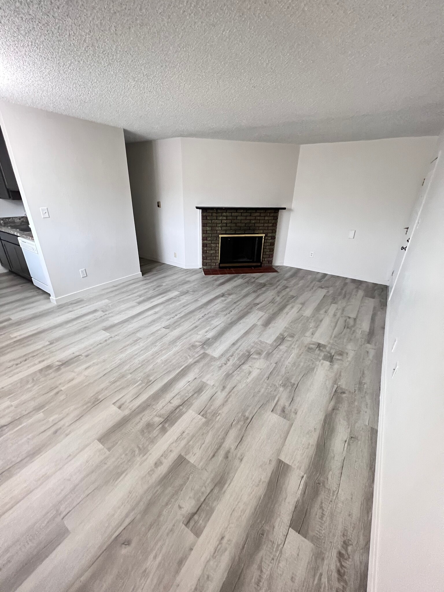 welcoming living room with decorative fireplace off main entry - 3303 Myers Ct