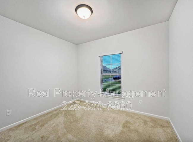Building Photo - 23447 Mango Dr