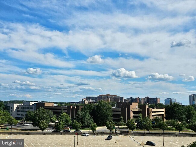 Building Photo - 3709 S George Mason Dr