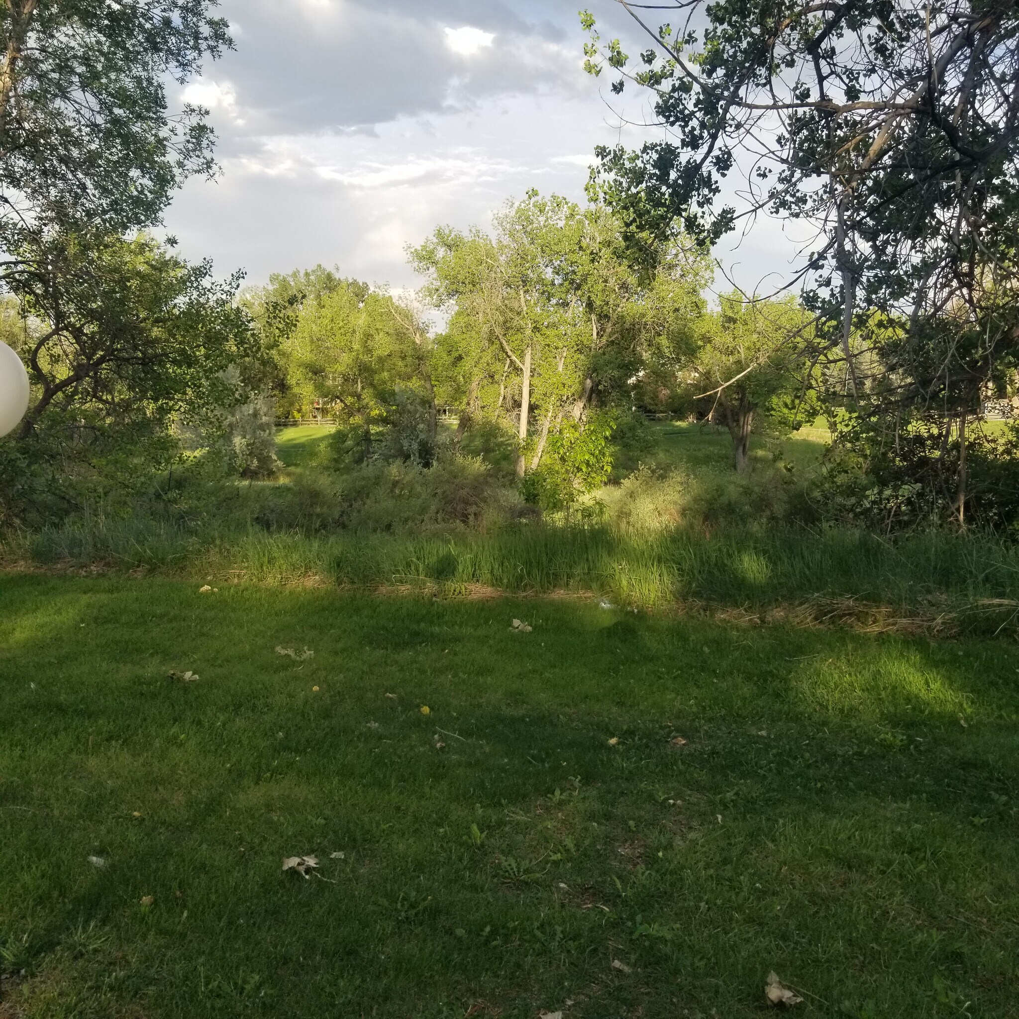 Adjacent Open Space - 8060 Niwot Rd