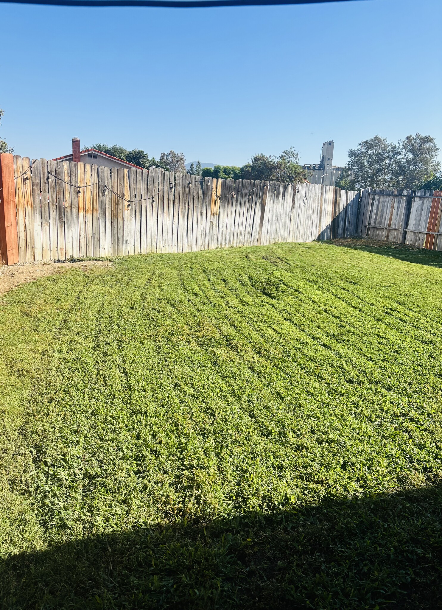 Large backyard - 1931 Union St