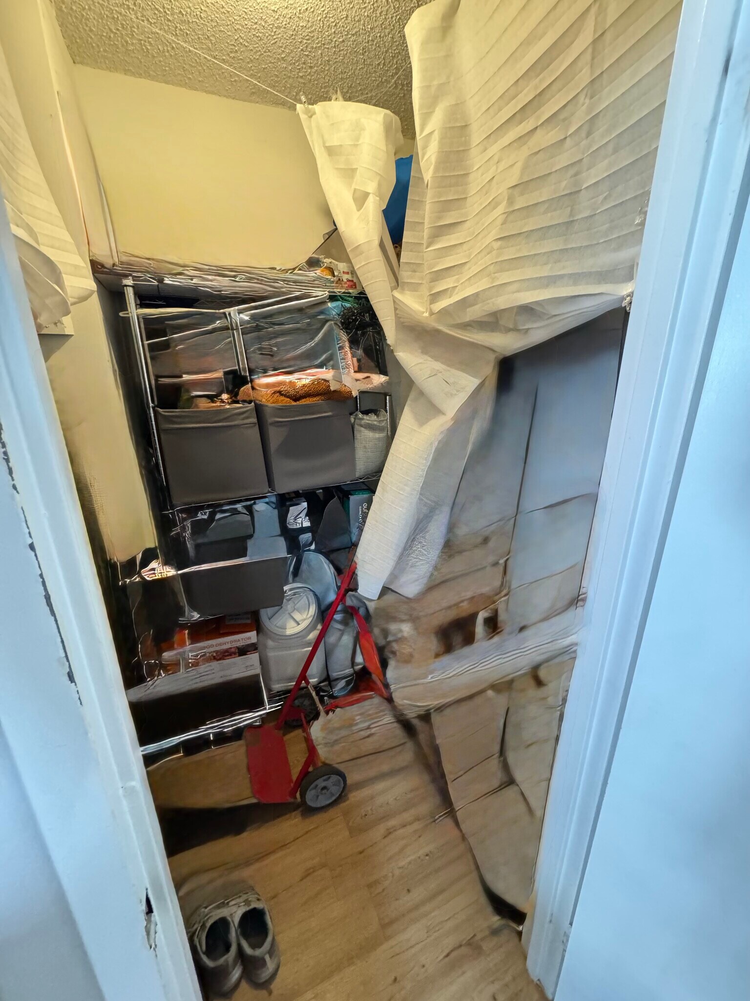 Walk in closet by the entrance - 3705 S George Mason Dr