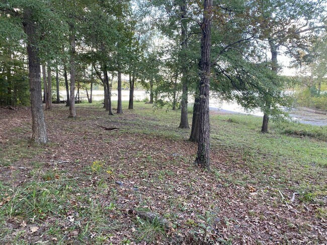 Building Photo - 2 Bedrooms, 2 Bathrooms - Home in Cedar Bluff!