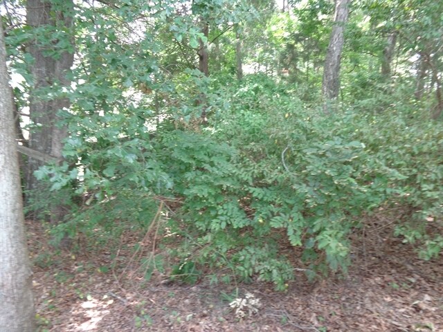 Building Photo - 7901 Maple Valley Pl