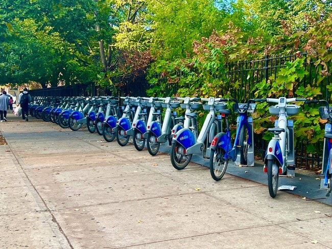 Building Photo - 203 Moffat St