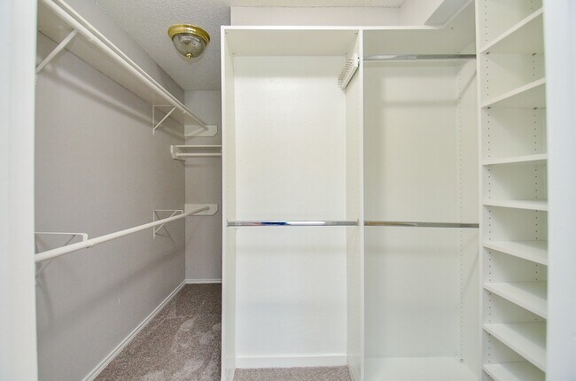 Building Photo - 1206 Green Knoll Dr