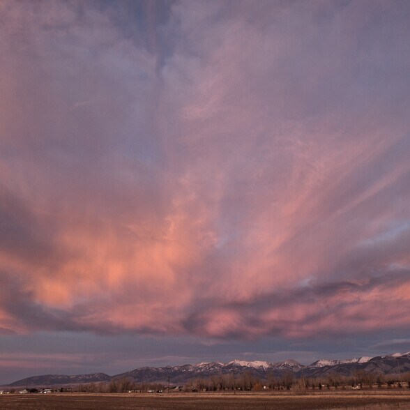 Building Photo - 161 Tail Feather Ln