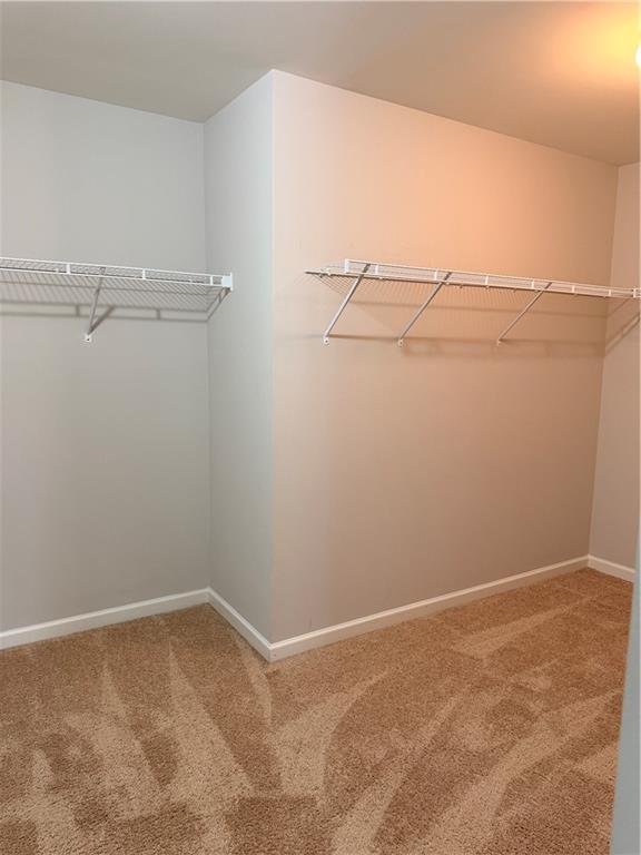 Building Photo - 559 Madison Park