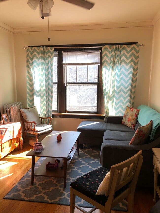 Building Photo - Sun-drenched Roscoe Village!