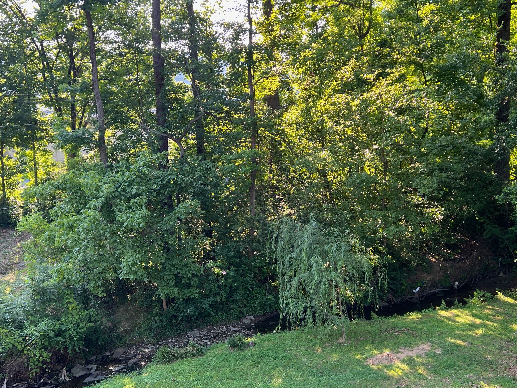 Building Photo - 3024 Whispering Pines Cir