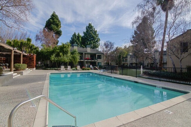 Swimming pool - 905 W Middlefield Rd