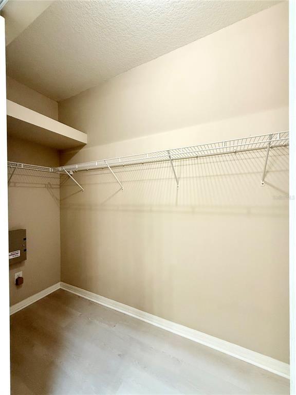 Building Photo - 3326 Chapel Creek Cir