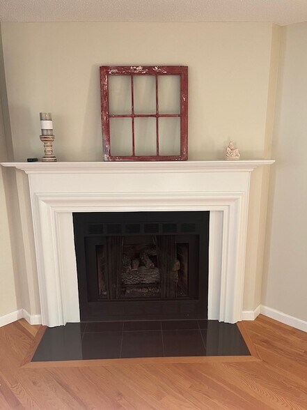 Gas Fireplace - 9 Brentmore Dr