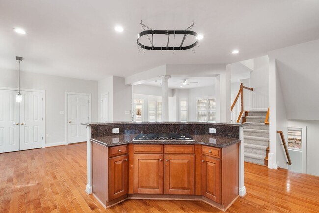 Building Photo - Stunning 4 level detached home close to the Mosaic District in Fairfax!