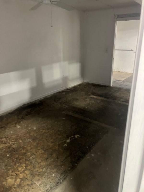 Building Photo - 1224 International Blvd