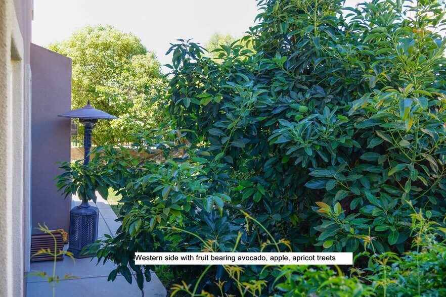 Building Photo - 1167 Vista Pointe Blvd