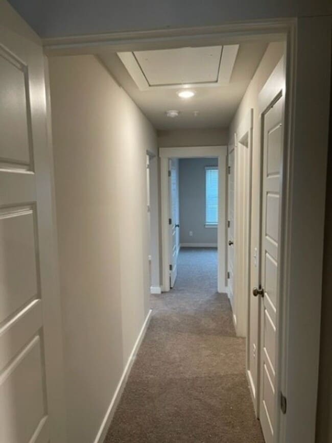 Building Photo - Stunning home in Spring Hill