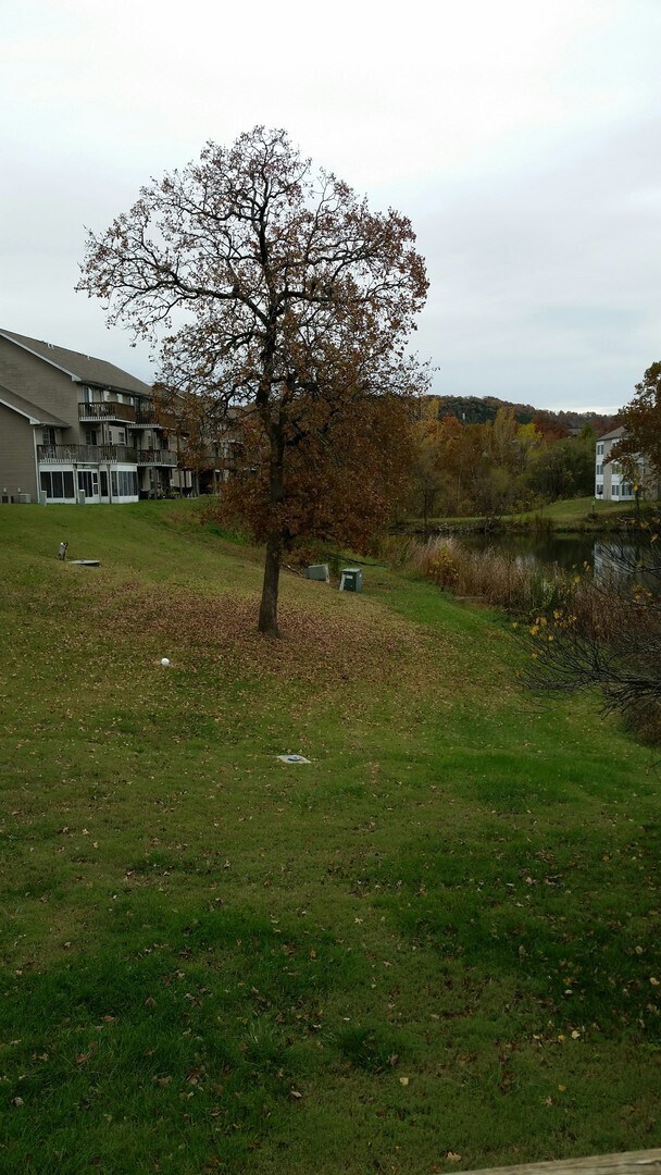 Building Photo - Nice 2 bedroom 2 bath Loft apartment in Branson MO