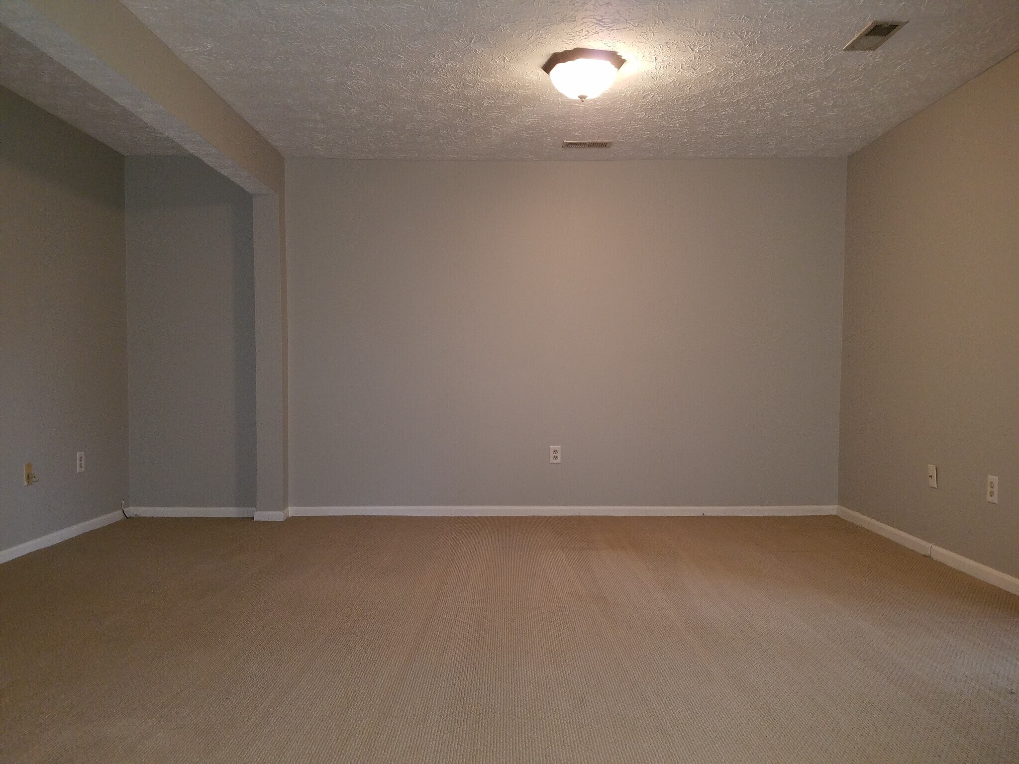 Rec Room - 358 Delmar Ct