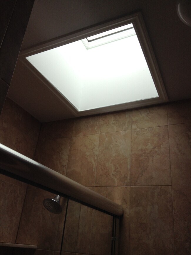 bathroom skylight - 177 Park Ave