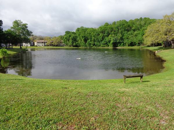 Building Photo - 11606 Baywood Meadows Dr