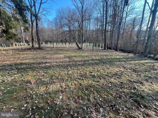 Building Photo - 1298 Black Gap Rd