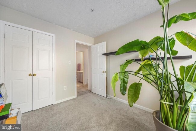 Building Photo - 5501 E Boniwood Turn