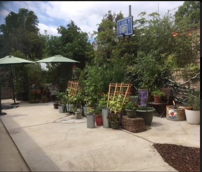 Garden on Patio - 6629 Sunnyslope Ave
