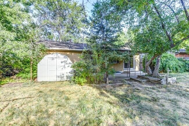 Building Photo - Beautiful and LARGE 4 bed 3 bath Home in D...