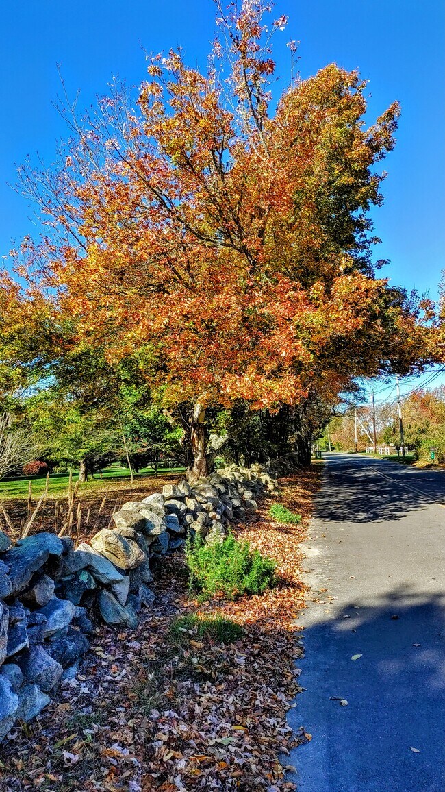 Stone walls line the property. - 94 Cross Rd