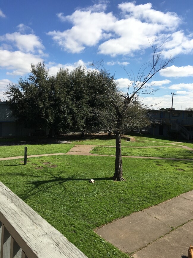 Building Photo - 7939 Sarita St