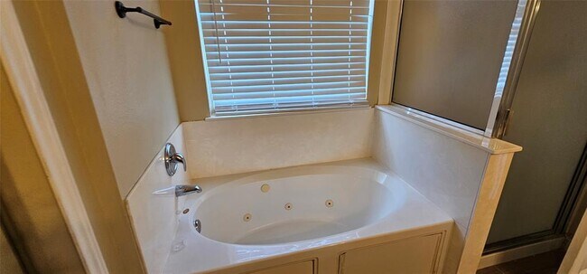 Building Photo - 11505 Emerald Falls Dr