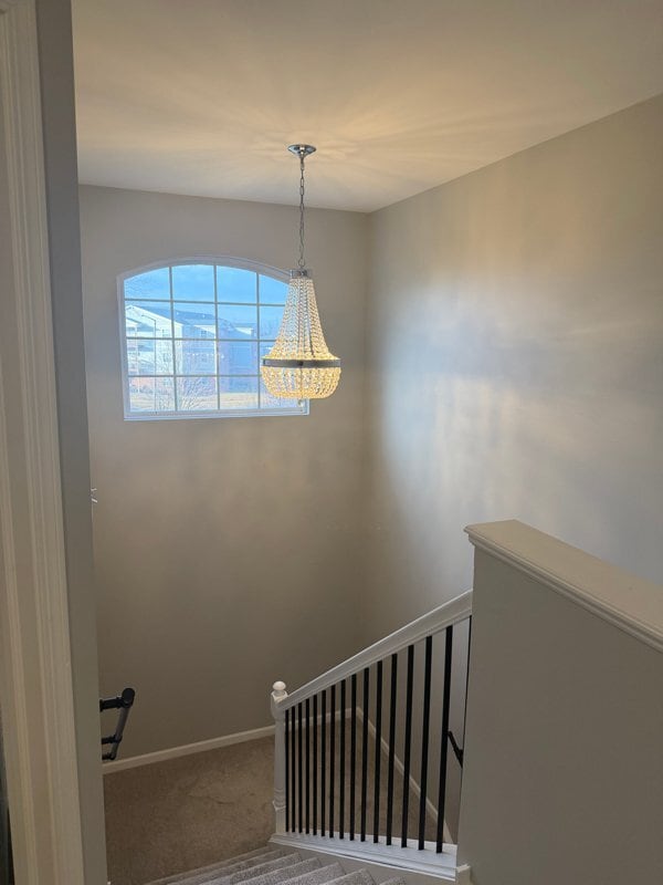 Building Photo - 4325 Savoy Ln