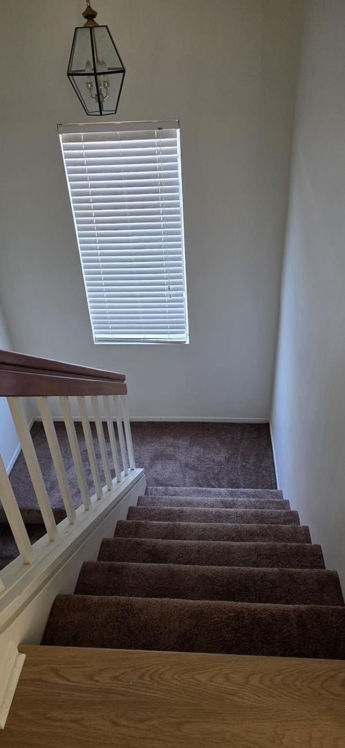 Building Photo - Southridge 4bed 2bath Beauty!