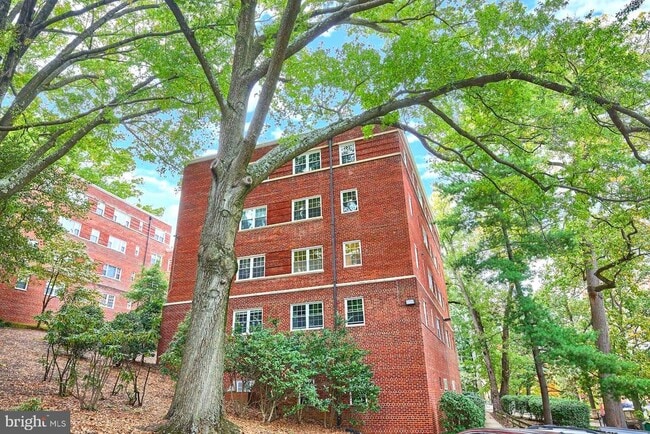 Building Photo - 1322 Fort Myer Dr