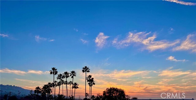 Building Photo - 374 Palos Verdes Blvd