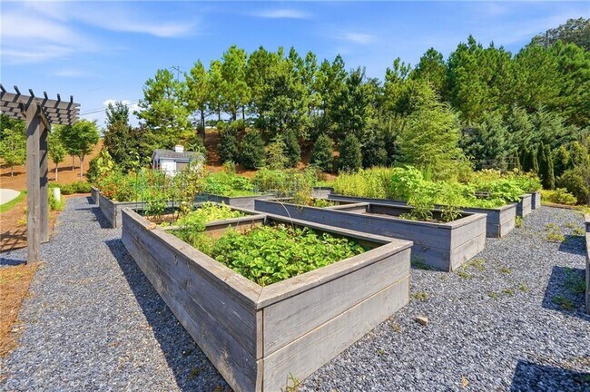 Building Photo - 901 Cedar Wing Terrace