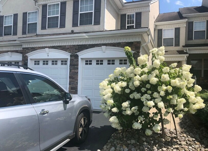 Building Photo - 9 Wharton Dr