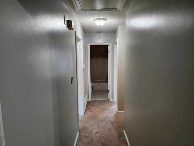 Building Photo - 255 Windy Ridge Cove