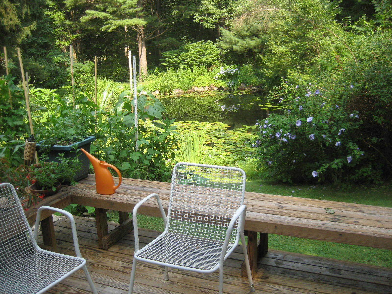 pond from deck - 395 Nut Plains Rd