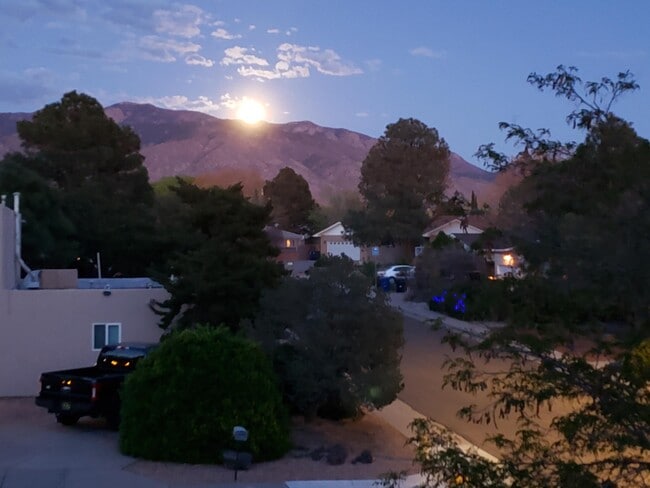 Building Photo - 3615 Horacio Ct NE