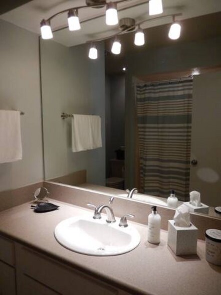 main upstairs bathroom en-suite - 9106 Emberglow Ln