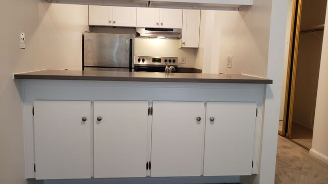 Building Photo - Cozy Studio Condo Available Now at Shelter Creek!