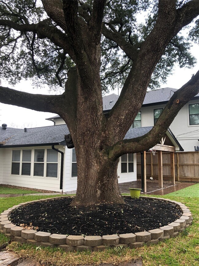 Building Photo - 1346 Chantilly Ln