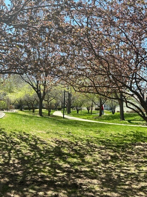 Building Photo - 5551 Cornerstone Dr