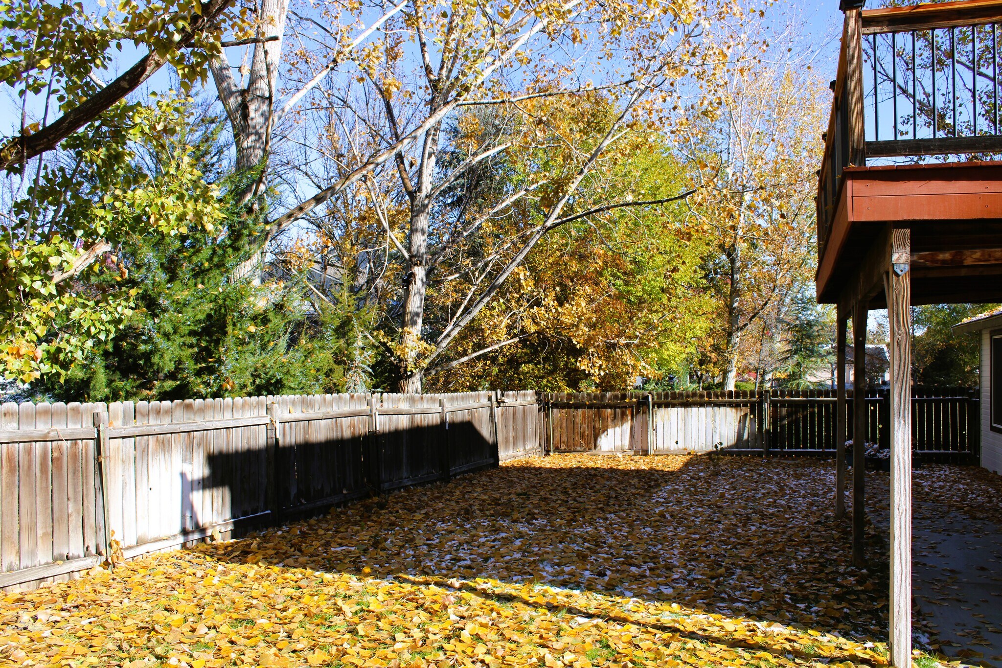 Backyard - 11380 W Montana St